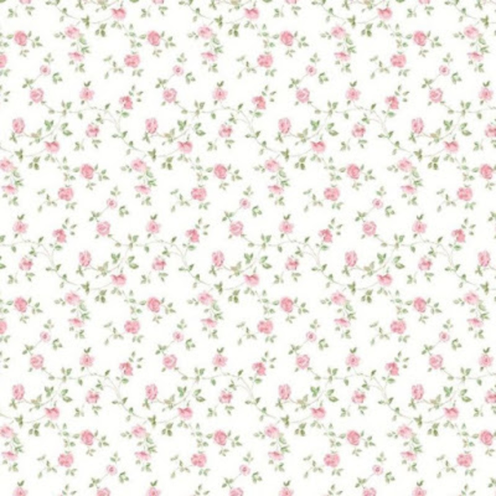 Meet your Posher, Kaili